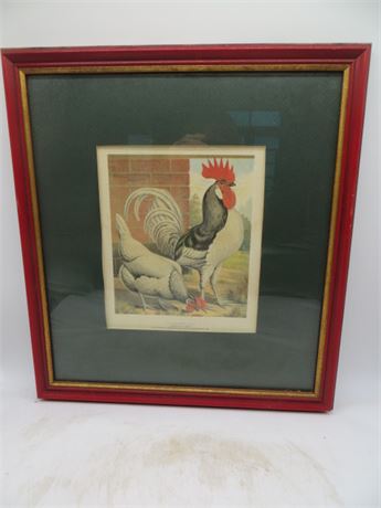 Andalusian Rooster & Hen