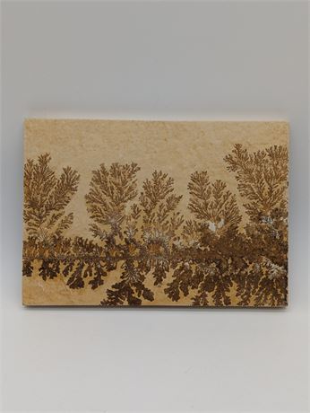 Dendrite Fossil Plaque 13.6oz Double Sided W/Stand