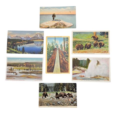 VTG Yellowstone & Yosemite Postcards