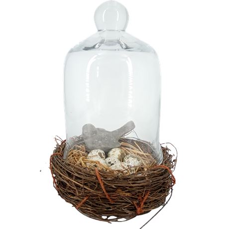 Large Glass Cloche Bell Jar with Woven Twig Nest Base Decorative Display Dome