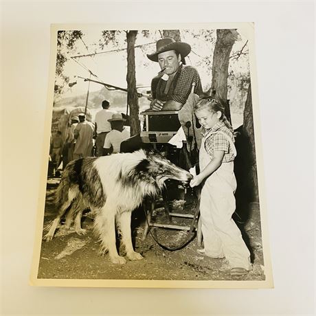 Errol Flynn Original Press Photograph