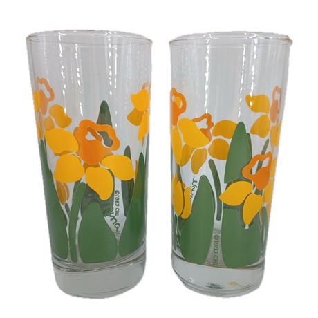 1983 Nina Daffodil and Tulip Drinking Glasses, Set of 2