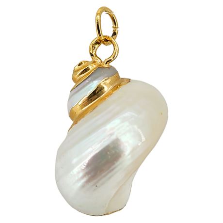Vintage Gold Accented Natural Seashell Pendant