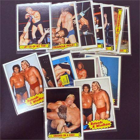 1985 Topps WWF Lot