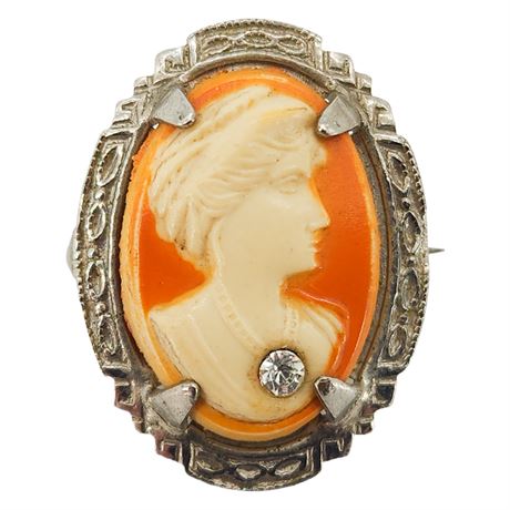 Vintage Molded Celluloid Cameo Brooch