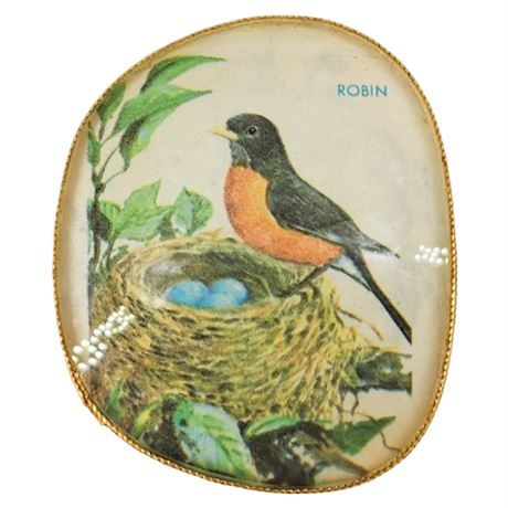 Vintage Robin Illustration Brooch in Eyeglasses Lens