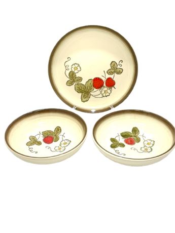 Vtg Metlox California Ironstone Poppytrail Bowls and Plate
