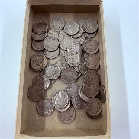 50 Unsearched Buffalo Nickels