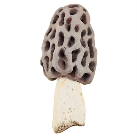 Vintage FUNKY FUNGUS Hand Painted Morel Mushroom Lapel Pin
