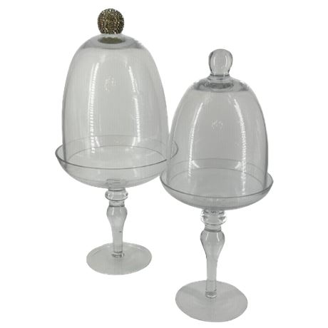 Pair of Glass Pedestal Display Domes