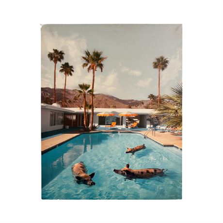 Pig Pool Party Canvas Print