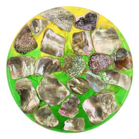 Mid-Century Lucite & Abalone Shell Trivet