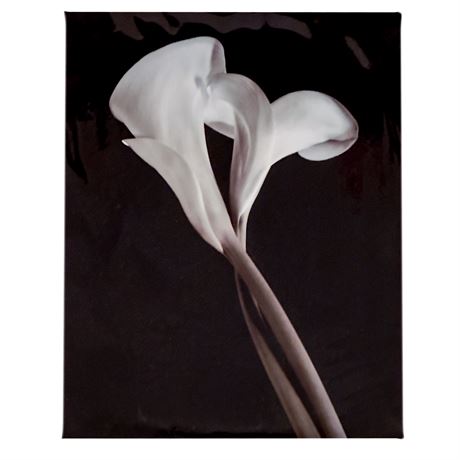 Original Signed Black & White Silver Gelatin Print "The Dance" by John Rehner