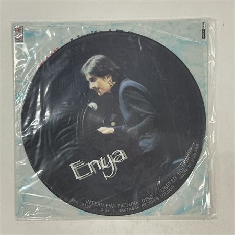Enya Interview Picture Disc  Vinyl Record