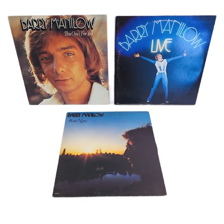 Vintage Vinyl Classic Soft Rock Record Lot, 12"