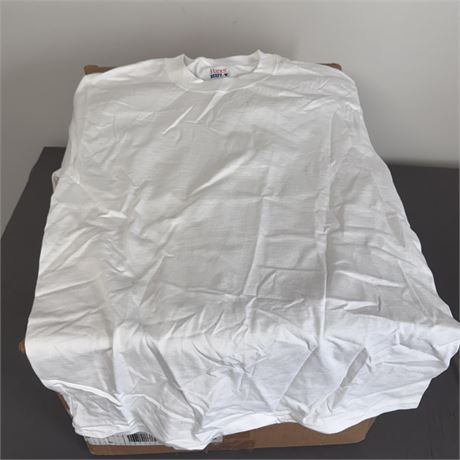 Hanes Beefy T's - Box of 72