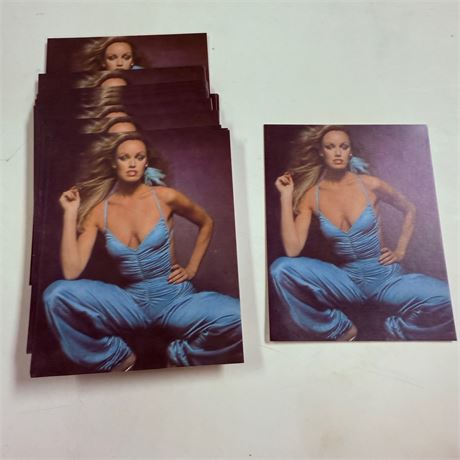 50 Vintage Exhibit Cards