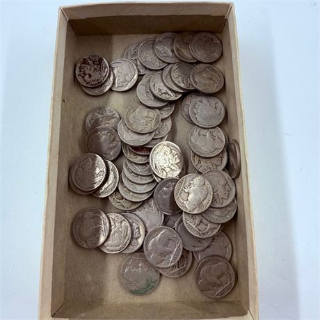 50 Unsearched Buffalo Nickels