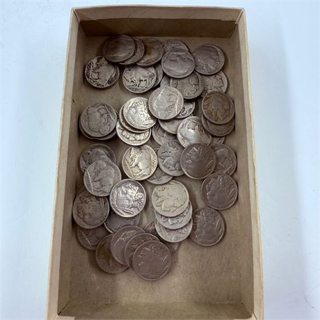 50 Unsearched Buffalo Nickels