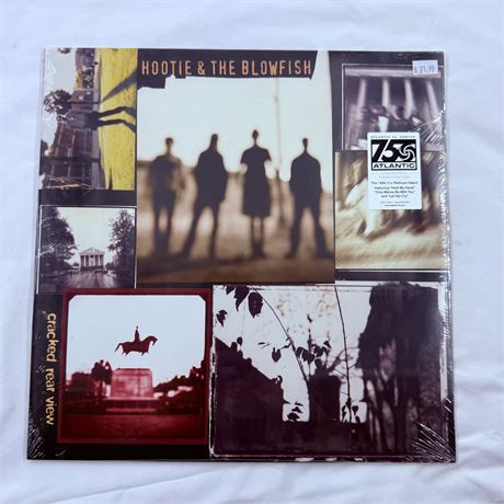 Hoodie And The Blowfish Cracked Rear View Vinyl Record - Factory Sealed