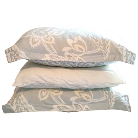 3 Pillows and Two Pillow Cases