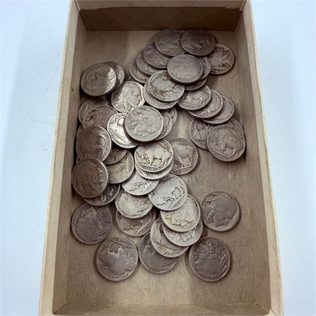 50 Unsearched Buffalo Nickels