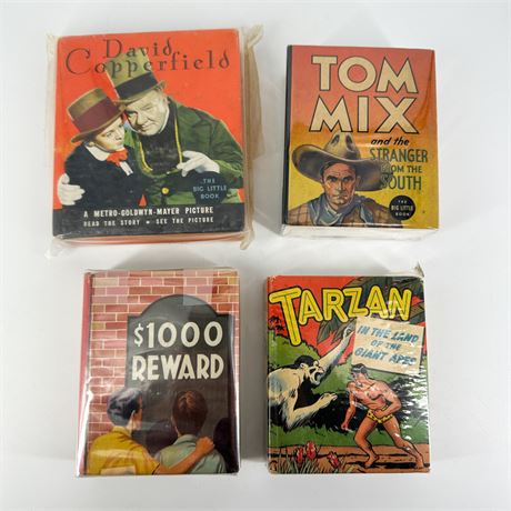 Lot of Vintage Big Little Books David Copperfield, Tarzan & Others
