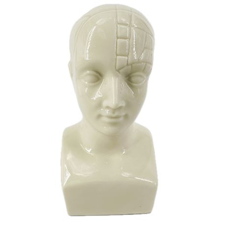 Vintage Bohem Porcelain Phrenology Bust Figurine