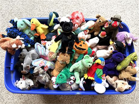 HUGE Beanie Baby Lot, 180 Babies Nearly All With Tags