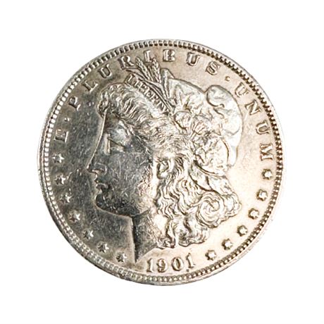 1901 Silver Dollar