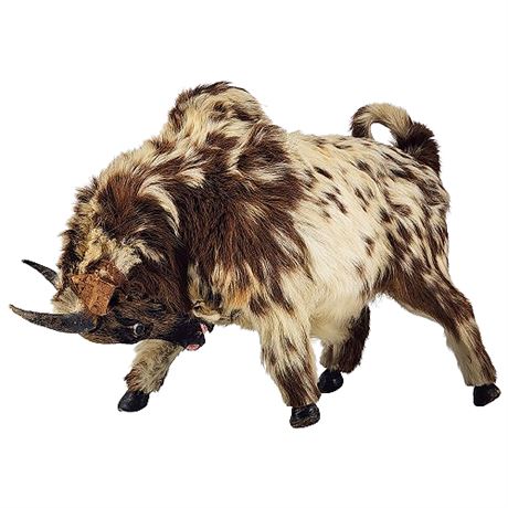 Vintage Taxidermy Miniature Brahma Bull
