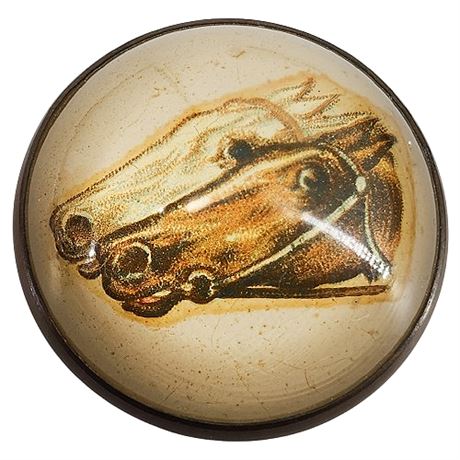Vintage Glass Dome Brass Horse Bridle Rosette Horse Heads Brooch