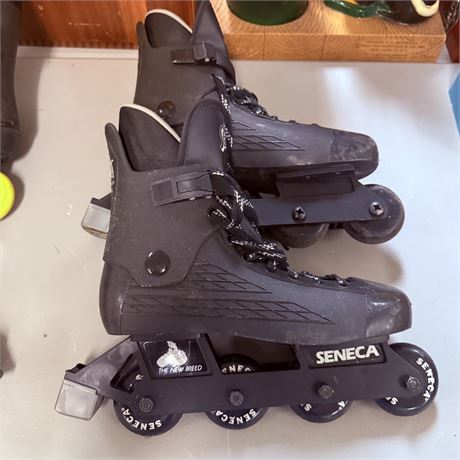 Rollerblades