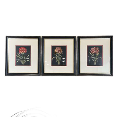 The Raschella Collection Wall 3 Pc Wall Art