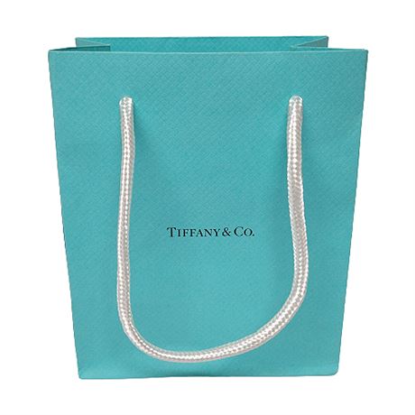 Small Empty TIFFANY & CO. Gift Bag
