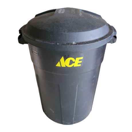 ACE Rubbermaid Roughneck 32 Gal Trash Can & Lid