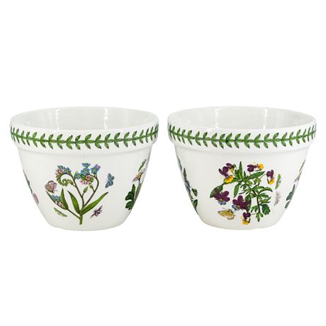 Vintage Portmeirion Botanic Garden Ceramic 5" Pudding Bowls -Set of 2-