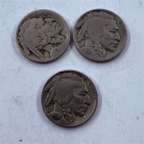 3 Buffalo Nickels