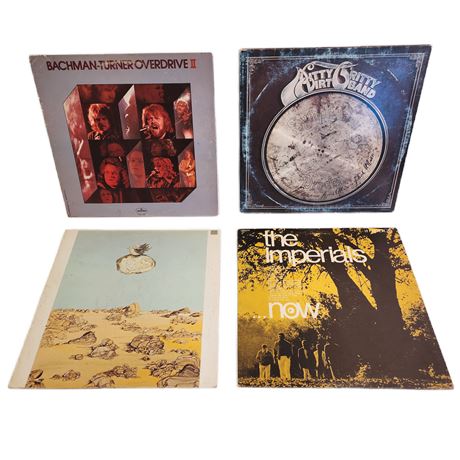 Vintage Vinyl Classic Rock Record Lot, 12"