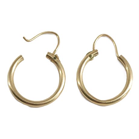 Classic Gold-Tone Hoop Earrings with Hinged Wire Closures
