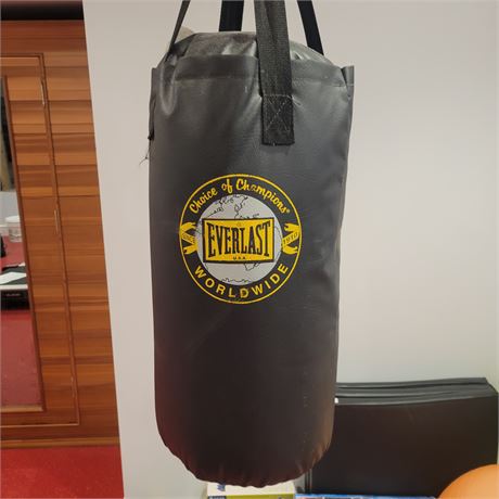 Choice of Champions Everlast World Wide Punching Bag