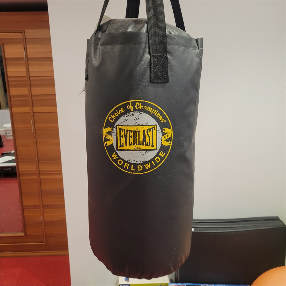 Great Lakes VNTG - Choice of Champions Everlast World Wide Punching Bag