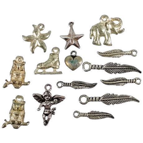 Lot of 14 Silver Charms