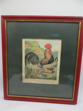 Brown Leghorn Chickebn & Rooster By H. Le Worthy
