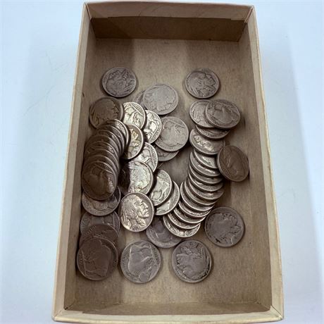 50 Unsearched Buffalo Nickels