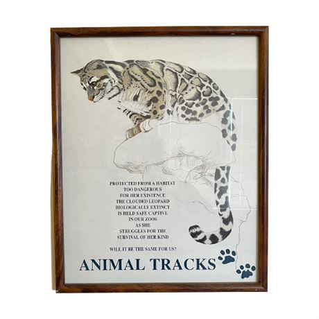 Susan Morrison "Animal Tracks- Clouded Leopard" Print