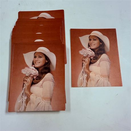 50 Vintage Exhibit Cards