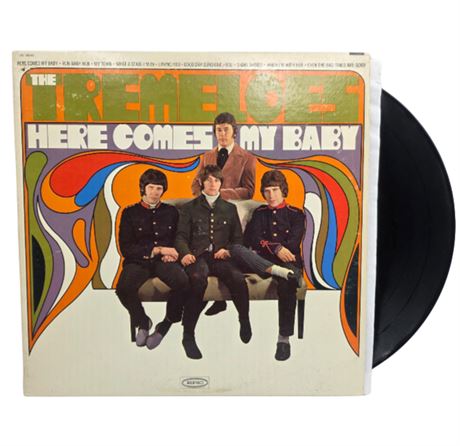 Tremeloes "Here Comes my Baby" 1967