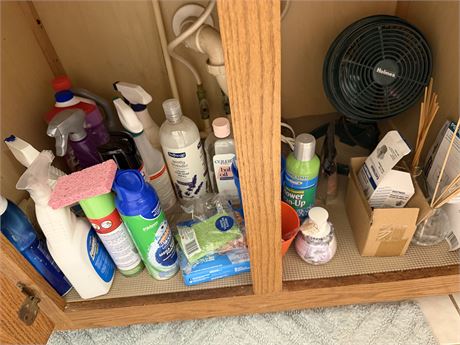 Cleaning Supplies & Fan