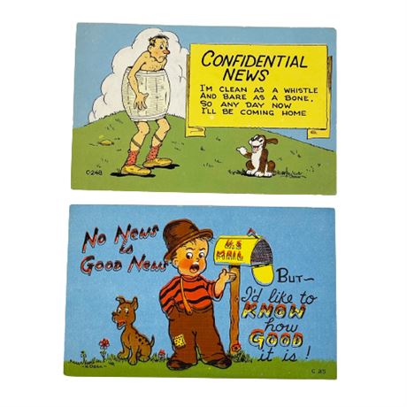 Lot of Vintage Color Litho Novelty Postcards- News
